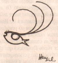 cascudohenfil.jpg (7301 bytes)