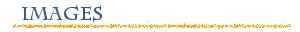 etitulo_imagens.gif (2032 bytes)